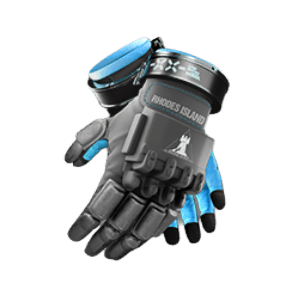 Equipment: LYNX Gloves