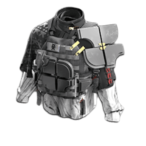 Equipment: Type 50 Yinglung Heavy Armor