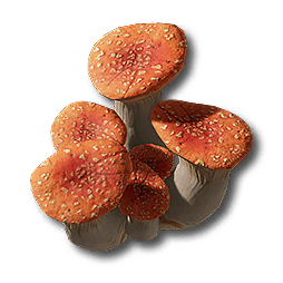 Ruby Bolete upgrade material